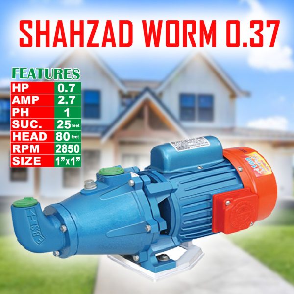 SHAHZAD WORM 0.37