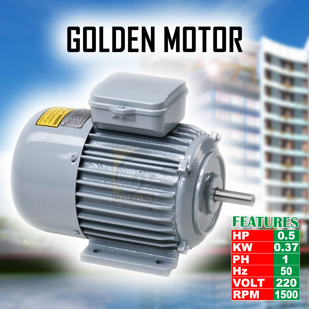 golden golden motor hp0.5