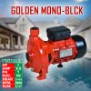 golden monoblock pump hp1