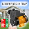 golden-vacuum-pump-hp1