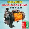 Golden Mono-Block Pumps GMB-01-0.37 – Golden Boring and Pump House