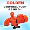 Golden-Deepwell-Pump-0.5-HP-G-1-Water-Pump